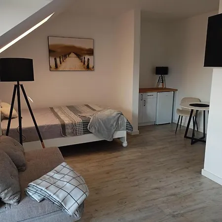 Apartment Mesterki