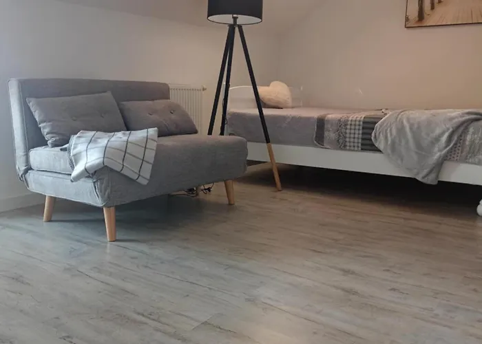 公寓 Mesterki 亚斯塔尔尼亚